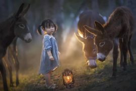 elena_shumilova елена шумилова лучшие детские фотографы инстаграма из России 2019